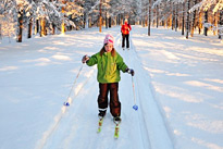 Excursion facultative - Cours de ski de fond