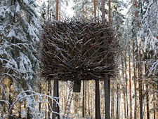 The Bird's Nest est conçu selon le contraste entre l'extérieur et l'intérieur.