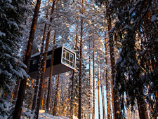 The Cabin est une cabine élégante. Cette cabane rectangulaire est suspendue à une hauteur d'environ 4m entre les conifères