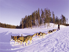 6 bonnes raisons d'aller en Laponie