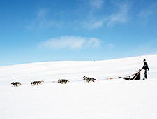 Les randonnées de plusieurs jours avec des huskies se déroulent dans une zone nordique