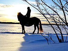 L'équitation dans la neige