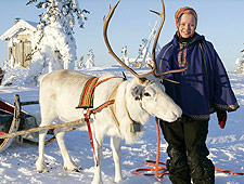 Cet élevage traditionnel de rennes existe depuis plus de 100 ans