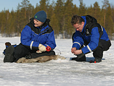 En cours de journée, vous faites aussi halte sur un lac gelé pour une partie de pêche au trou