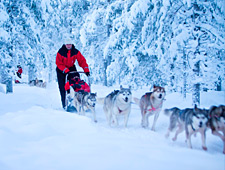 Vous faites une longue randonnée de 10km avec les huskys