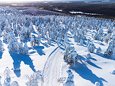 Lors de ce safari en motoneige, vous traverserez de magnifiques paysages enneigés, des forêts denses et des lacs gelés