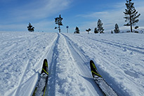 Excursion facultative - Le ski de fond