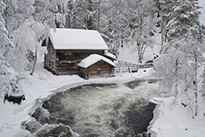 Excursion supplémentaire - Randonnée en raquettes active au Parc National d’Oulanka